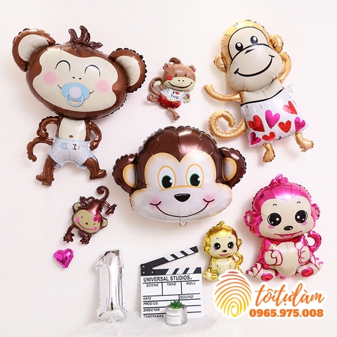 Bóng hình con khỉ