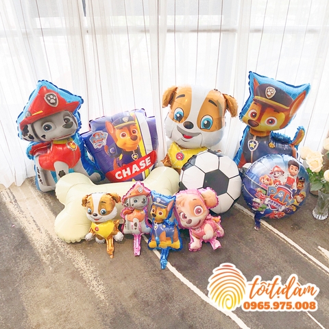 Bóng hình con chó