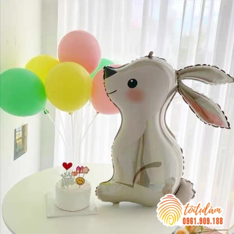 Bóng hình con thỏ