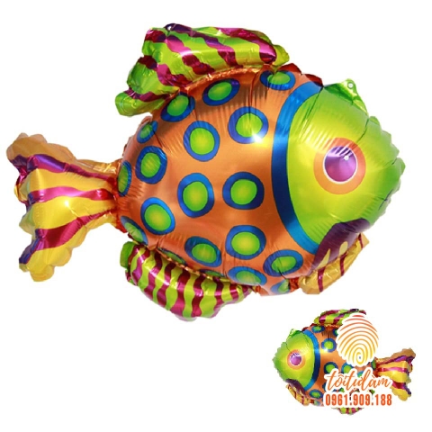 Cá rồng chấm bi