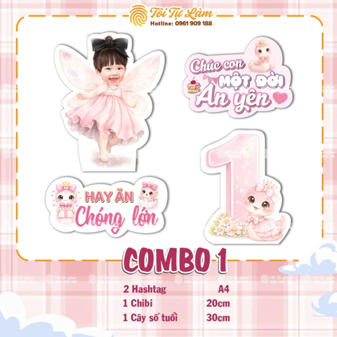 COMBO SINH NHẬT CHO BÉ TUỔI RẮN 1