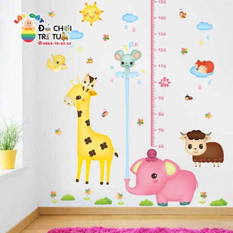 Decal đo chiều cao XL8336