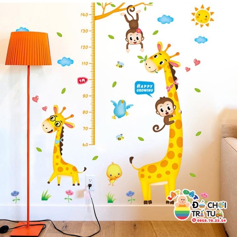 Decal đo chiều cao XL8337