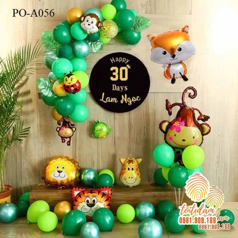 Phông sinh nhật PO-A056