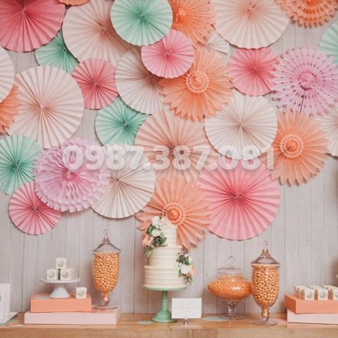 Hoa rẻ quạt giấy