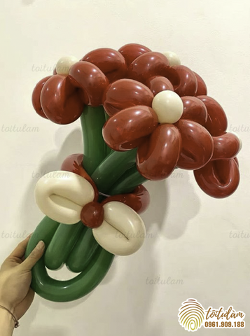 HOA BÓNG - QUÀ TẶNG NGÀY PHỤ NỮ VIỆT NAM 20/10