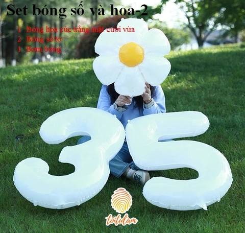 Set bóng số và hoa