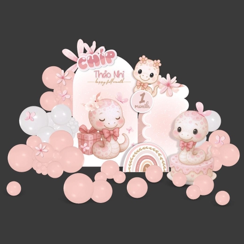 SET TRANG TRÍ SINH NHẬT BÉ RẮN TẠI NHÀ - TT RA58