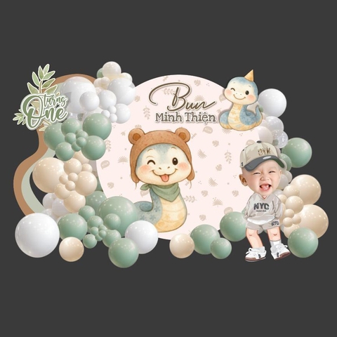 TRANG TRÍ THÔI NÔI BÉ RẮN ĐƠN GIẢN SANG TRỌNG - TT RA50