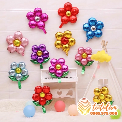 Bóng hình hoa 5 cánh