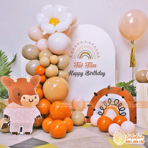 TRANG TRÍ SINH NHẬT TRỌN GÓI CHO BÉ YÊU TT037