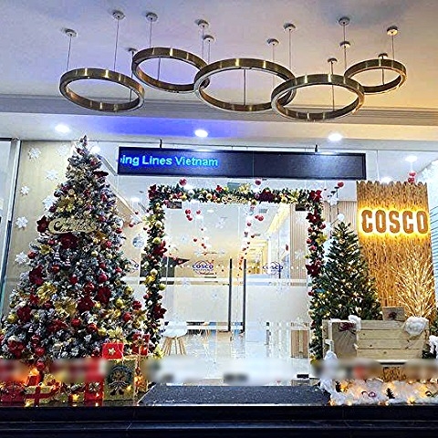 TRANG TRÍ CUỐN SÁCH GIÁNG SINH