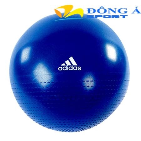 Bóng tập thể dục Adidas ADBL 12248