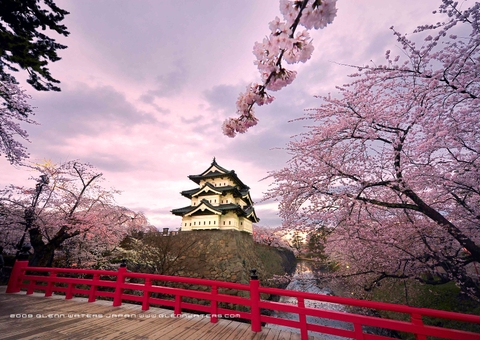 Thông báo lịch thi ngành tiếng Nhật và văn hóa Nhật Bản năm 2026