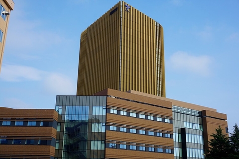Teikyo University