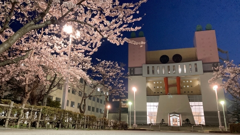 Aomori Chuo Gakuin University