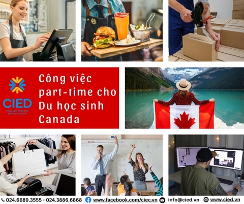 Top Công Việc Part-time Phổ Biến Dành Cho Du Học Sinh Tại Canada