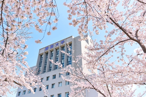 Kansai University