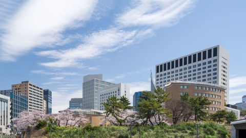 Sophia University