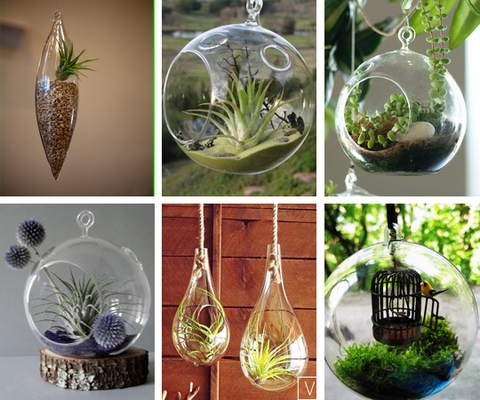 BÔ SƯU TẬP THỦY TINH TREO