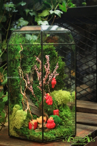 Trang Trí Nhà Đón Tết Với Rêu Xanh Quanh Năm Không Cần Tưới