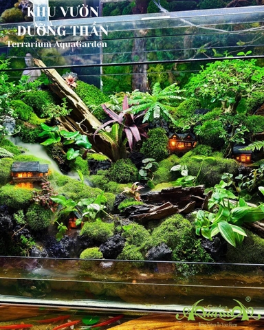 PHÂN BIỆT TERRARIUM PHIÊN BẢN RÊU TƯƠI VÀ RÊU BẢO TỒN