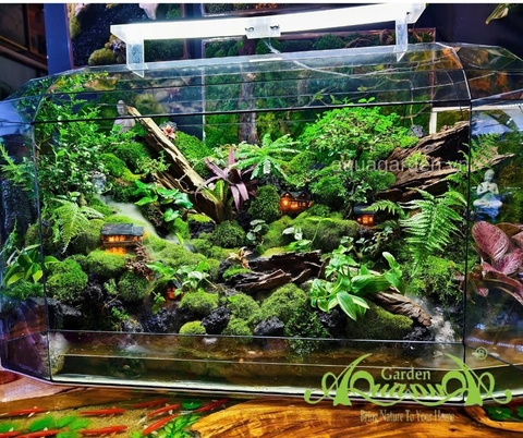 TERRARIUM SIÊU KHỦNG TẠI SÀI GÒN - THẾ GIỚI THU NHỎ GIỮA LÒNG ĐÔ THỊ