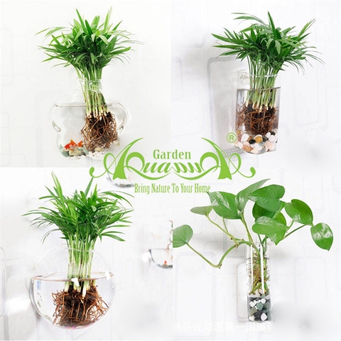  BỨC TƯỜNG CÂY THỦY CANH AQUAGARDEN