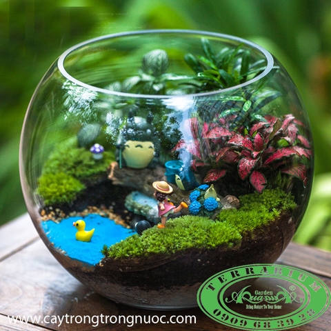 LỚP HỌC TERRARIUM AQUAGARDEN