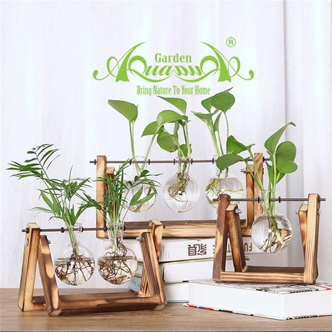 XÍCH ĐU MINIPLANT ĐỔI MỚI KHÔNG GIAN BÀN LÀM VIỆC