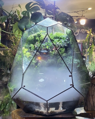 TERRARIUM LÀ GÌ? CÁC LOẠI TERRARIUM ĐỘC ĐÁO TẠI AQUAGARDEN