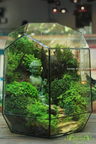 ƯU ĐIỂM TUYỆT ĐỐI CỦA RÊU BẢO TỒN NHÀ AQUAGARDEN