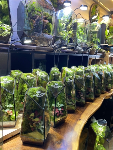 Terrarium - Quà tặng doanh nghiệp dành cho đối tác, nhân viên của bạn