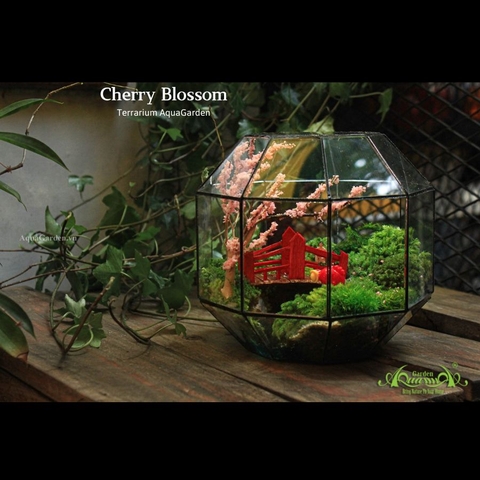 Terrarium 11 - Cherry Blossom