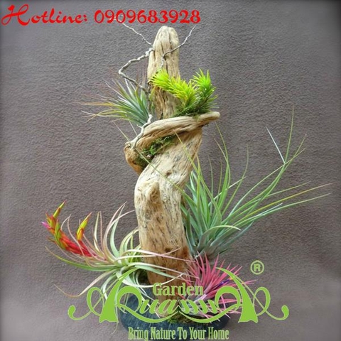 Bộ Không Khí_14