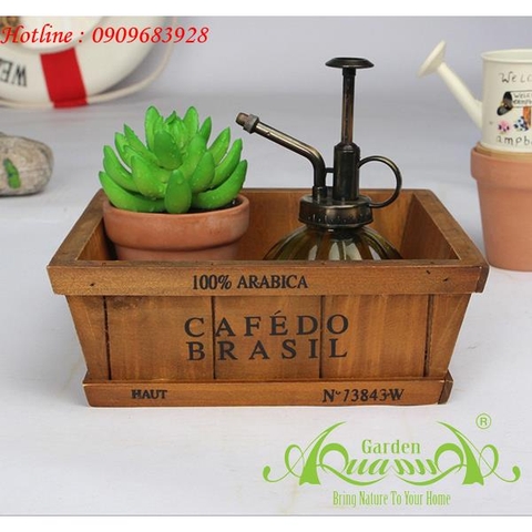 CAFEDO BRASIL Vuông Thấp - Hộp Gỗ AquaGarden