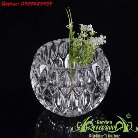 Tròn Bi - Thủy Tinh AquaGarden