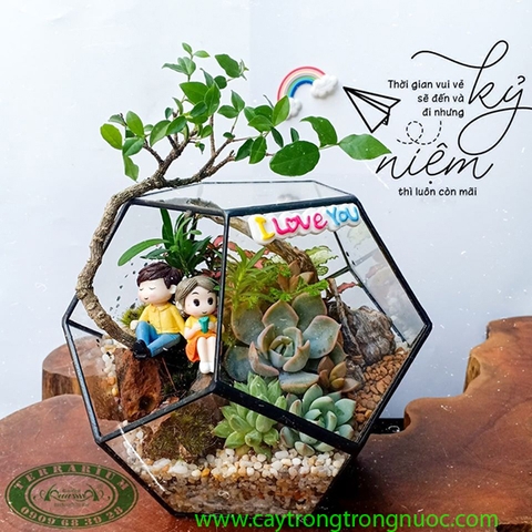 Terrarium 72 - Thanh Xuân & Kỷ Niệm