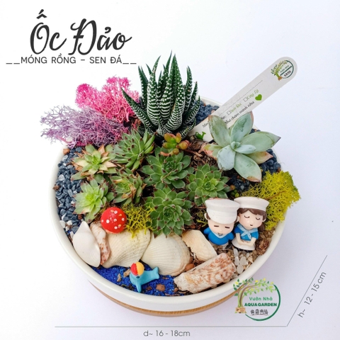 Tiểu Cảnh 22 - Ốc đảo