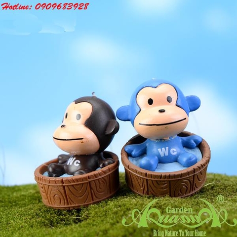 Khỉ Baby - Phụ Kiện AquaGarden