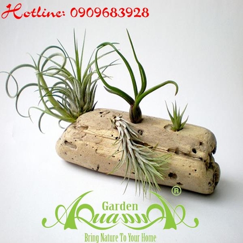 Bộ Không Khí_07