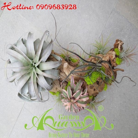 Bộ Không Khí_08