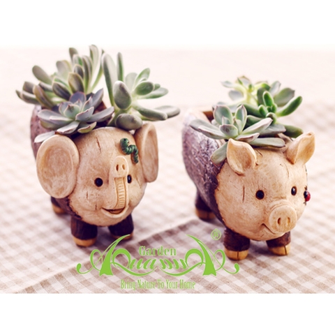 Heo Gỗ - Chậu gốm dễ thương trồng cây - Gốm AquaGarden