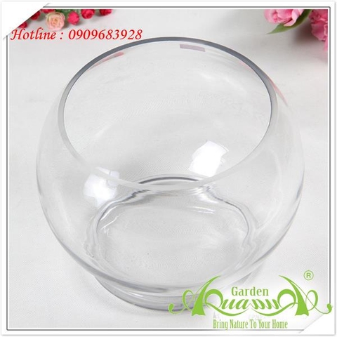 Bầu Cá Có Đế - Thủy Tinh AquaGarden