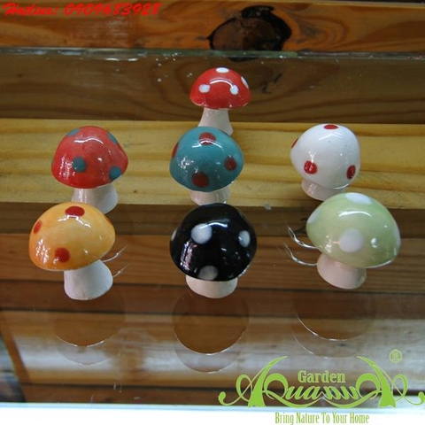 Nấm - Phụ kiện AquaGarden