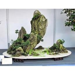 Dũng Vãng Trực Tiền