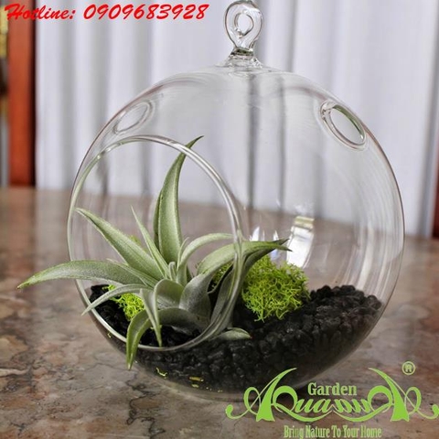 Bộ Không Khí AquaGarden_124