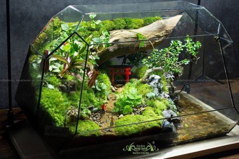 Terrarium 258 - Bình yên một sớm mai - Ô thước kiều