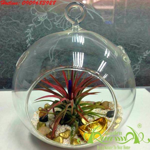 Bộ Không Khí AquaGarden_134