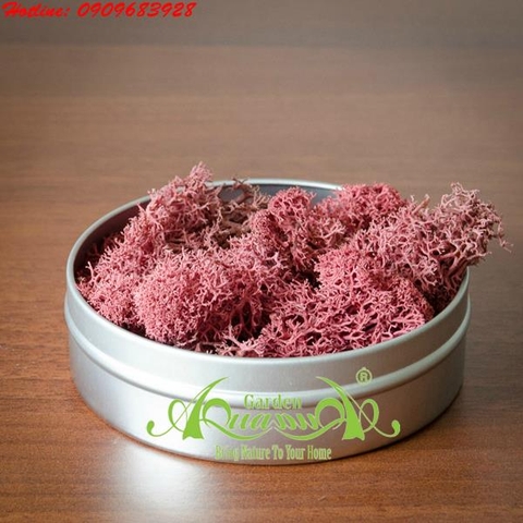 Rêu Tuần Lộc - AquaGarden